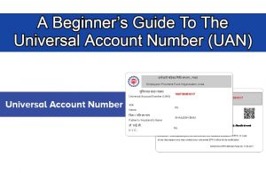 A Beginner’s Guide To The Universal Account Number (UAN)