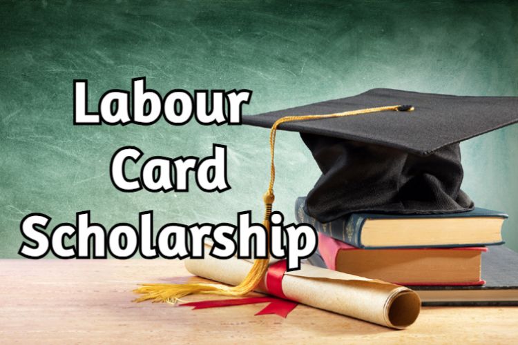Labour Card Scholarship 2024: Application Process & Last Date